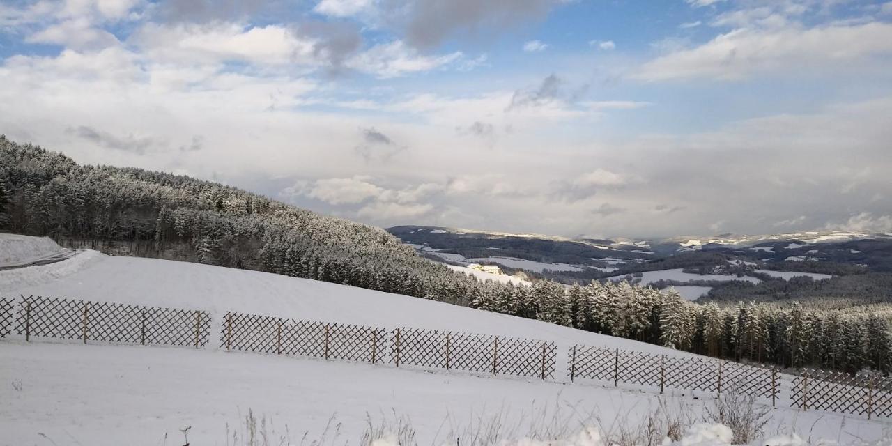 MönichkirchenWald-Panorama-Zimmer住宿加早餐旅馆 外观 照片
