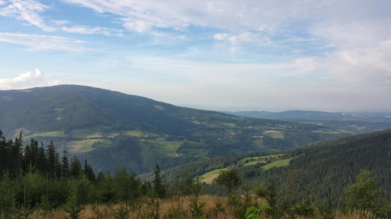 MönichkirchenWald-Panorama-Zimmer住宿加早餐旅馆 外观 照片