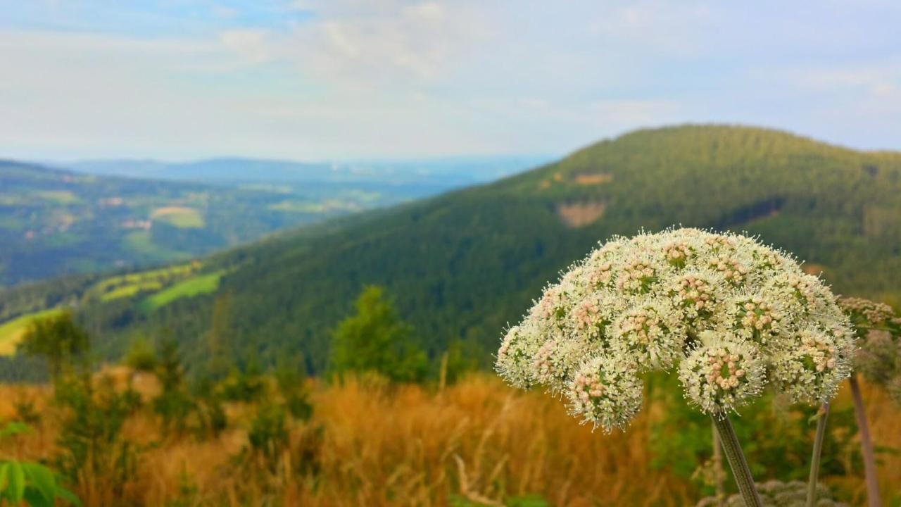 MönichkirchenWald-Panorama-Zimmer住宿加早餐旅馆 外观 照片