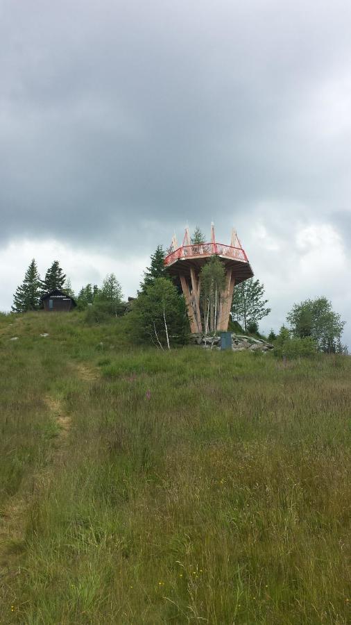 MönichkirchenWald-Panorama-Zimmer住宿加早餐旅馆 外观 照片